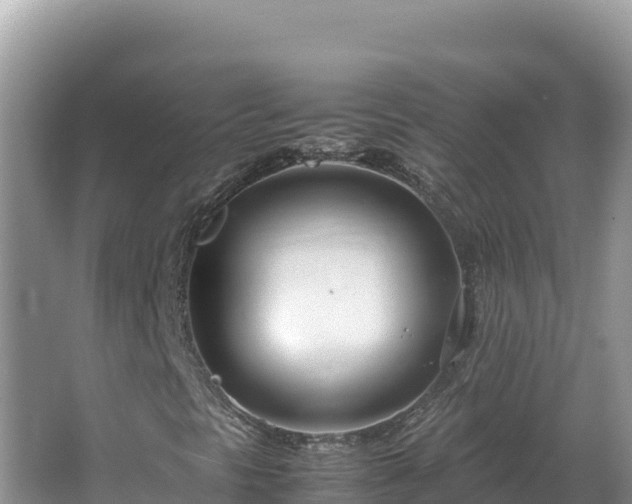 X0000064731297200602131239