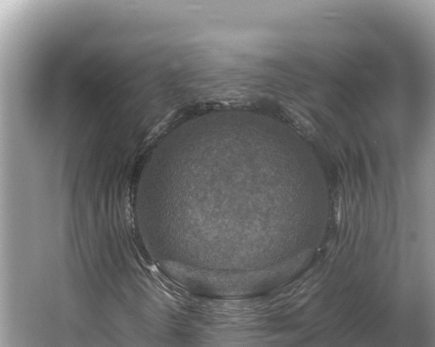 X0000064731298200602131239