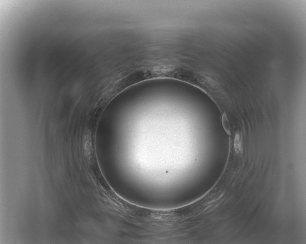 X0000064731299200602131240