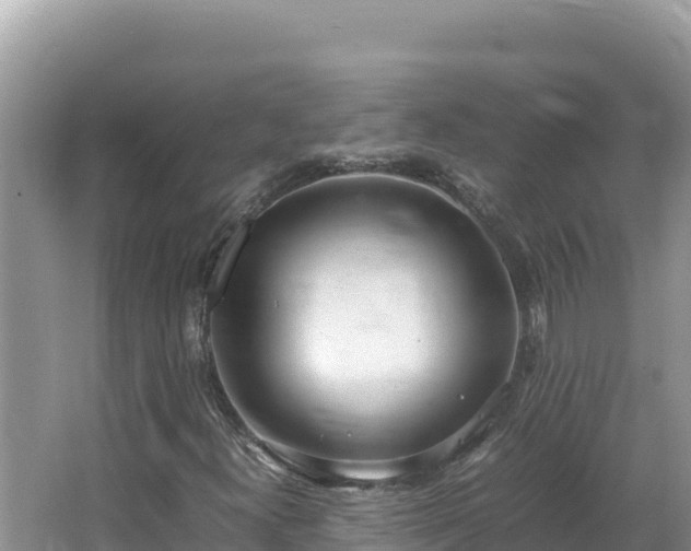 X0000064731300200602131240