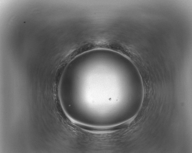 X0000064731301200602131240