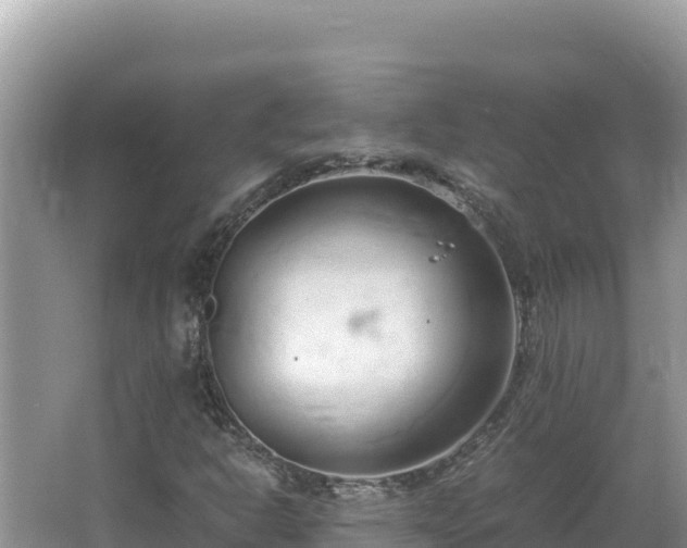 X0000064731302200602131240