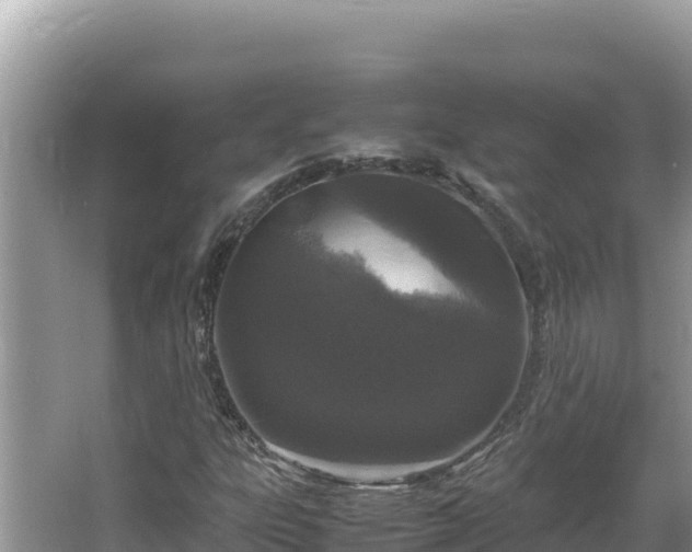 X0000064731303200602131240