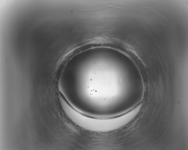 X0000064731304200602131240