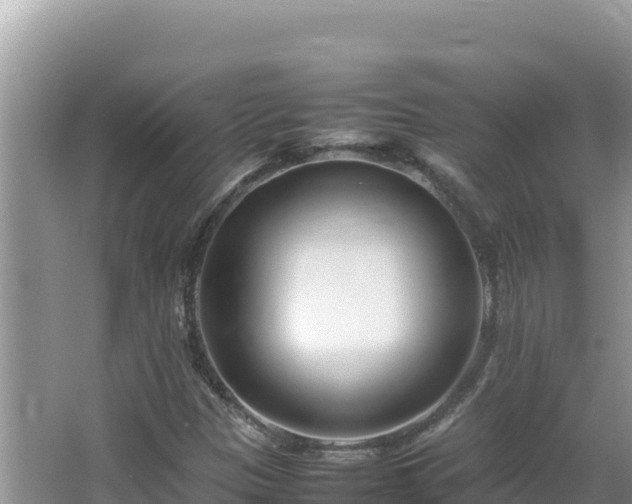 X0000064731305200602131240