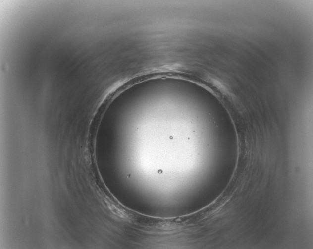 X0000064731308200602131240