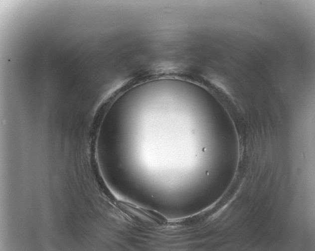 X0000064731309200602131240