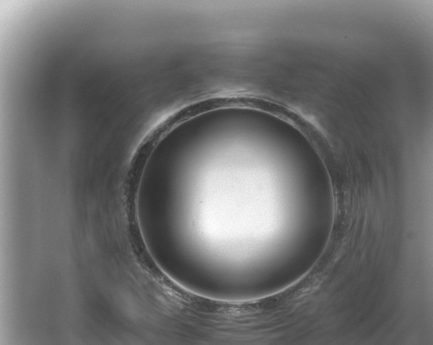 X0000064731311200602131240