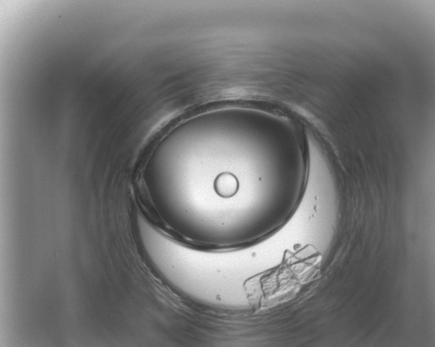 X0000064731314200602131240