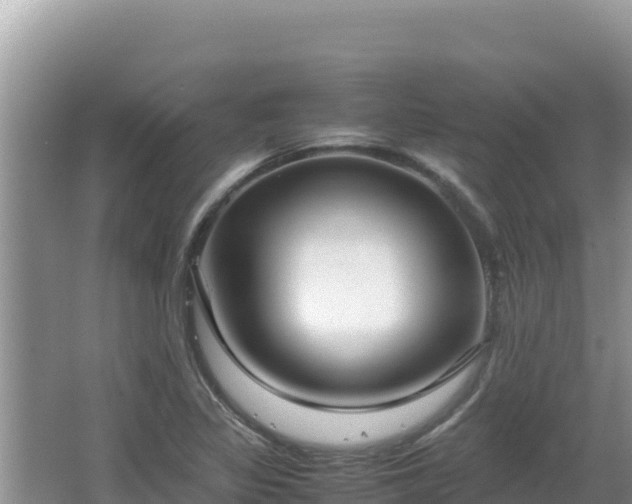 X0000064731317200602131240