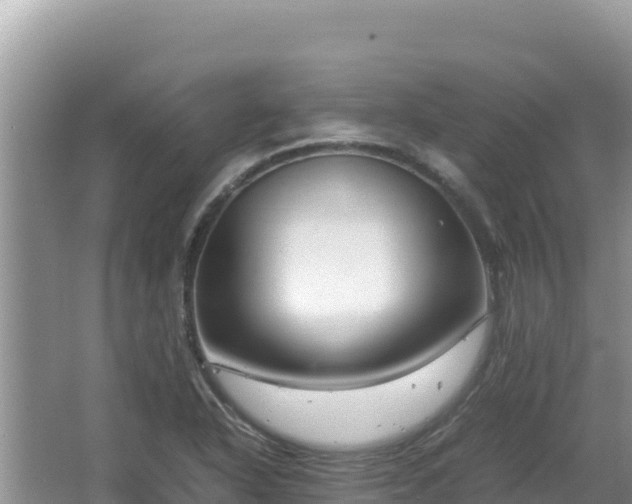 X0000064731318200602131240