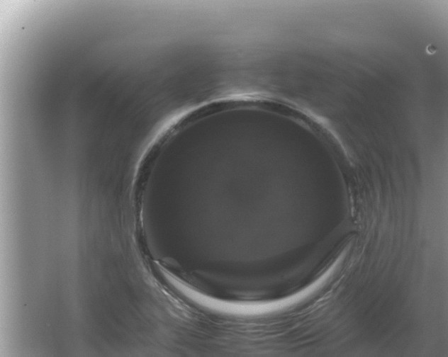 X0000064731319200602131240