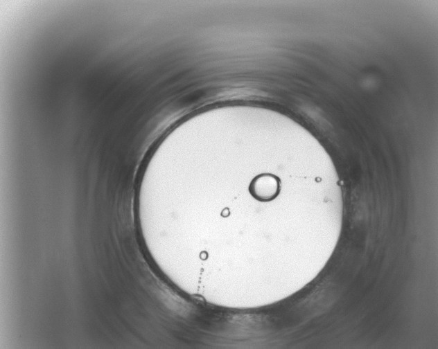 X0000064731322200602131240