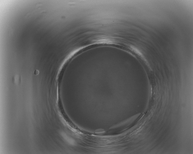 X0000064731323200602131240