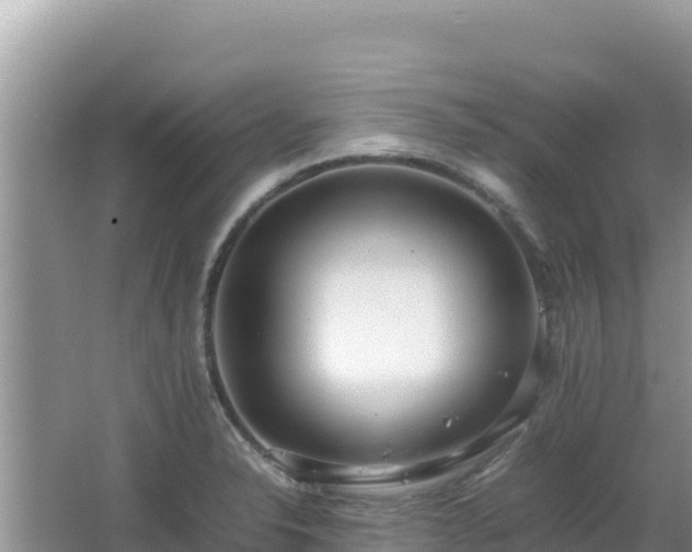 X0000064731326200602131240