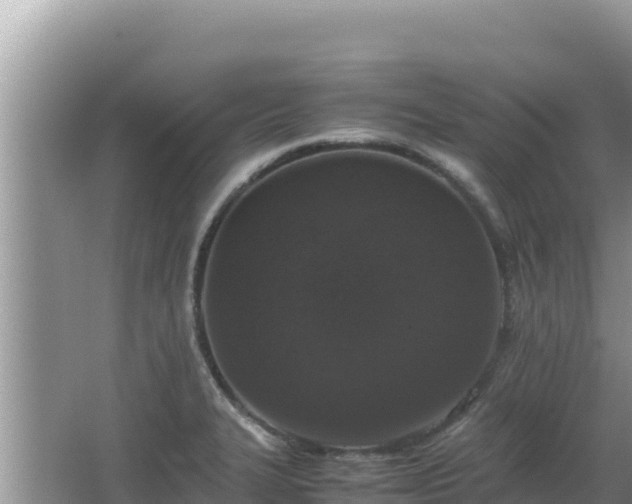 X0000064731327200602131240