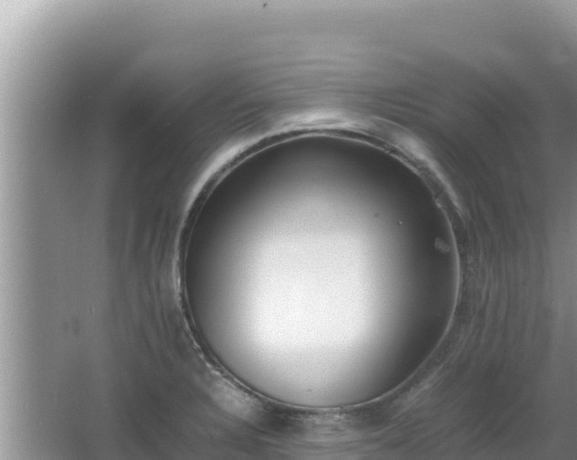 X0000064731328200602131240