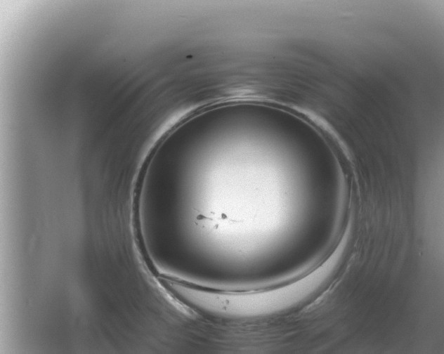 X0000064731333200602131240