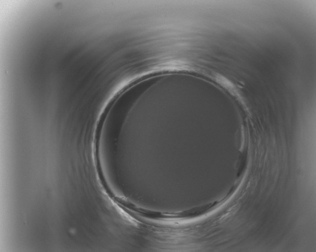 X0000064731334200602131240