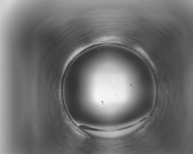 X0000064731336200602131240