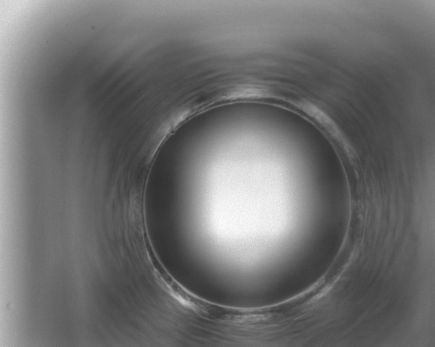 X0000064731337200602131240