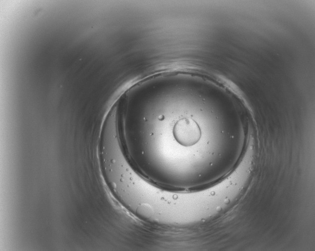 X0000064731338200602131240