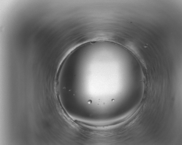 X0000064731340200602131240