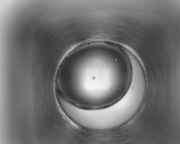 X0000064731341200602131240