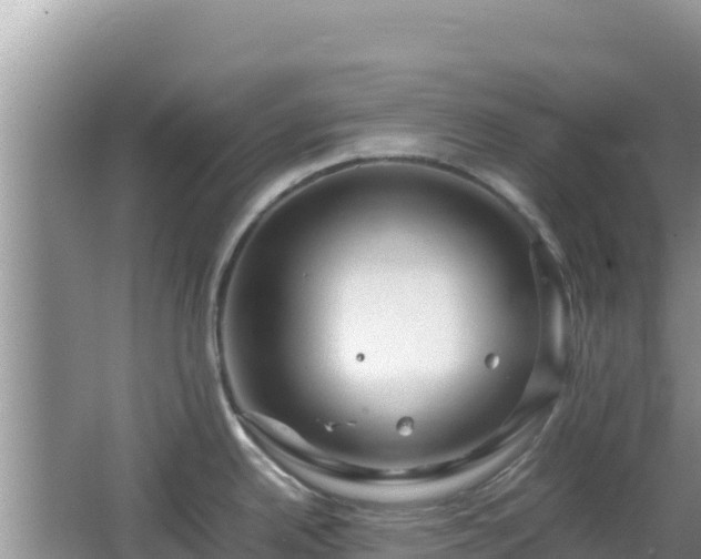 X0000064731342200602131240