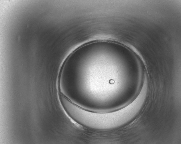 X0000064731343200602131240