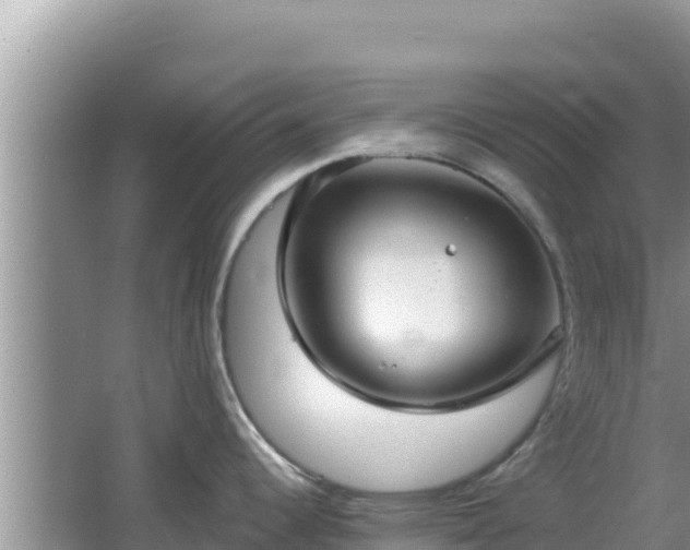 X0000064731344200602131240