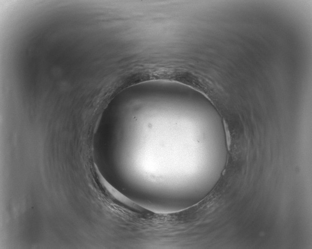 X0000064731345200602131239