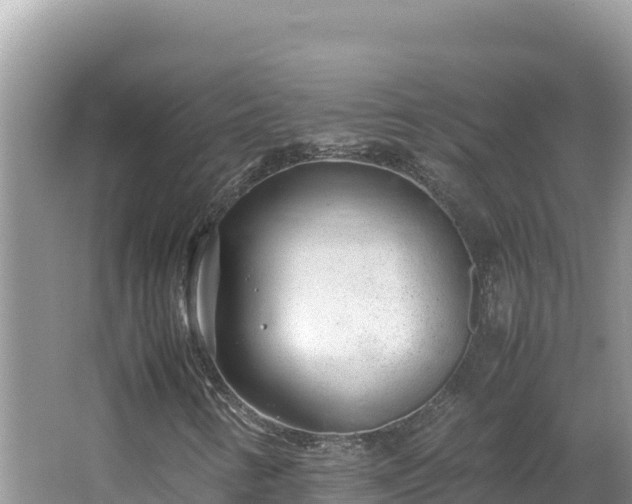 X0000064731346200602131239