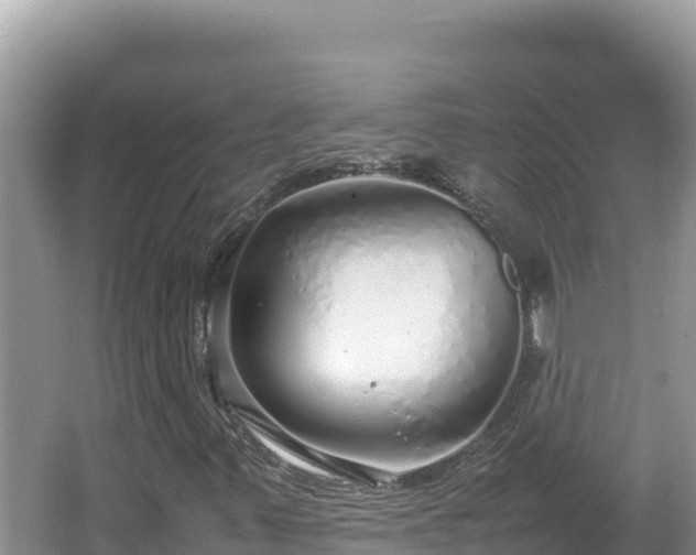 X0000064731347200602131239