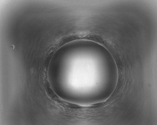 X0000064731349200602131239