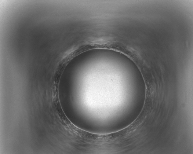 X0000064731350200602131239