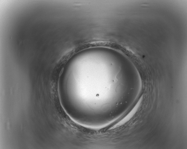 X0000064731351200602131239