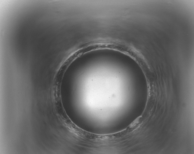 X0000064731352200602131239