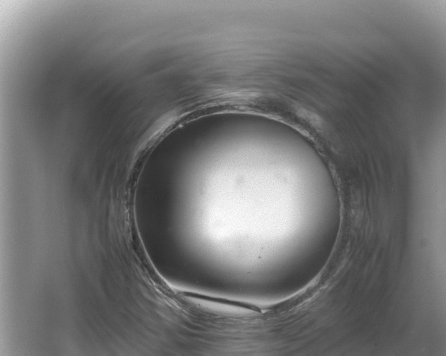 X0000064731354200602131239