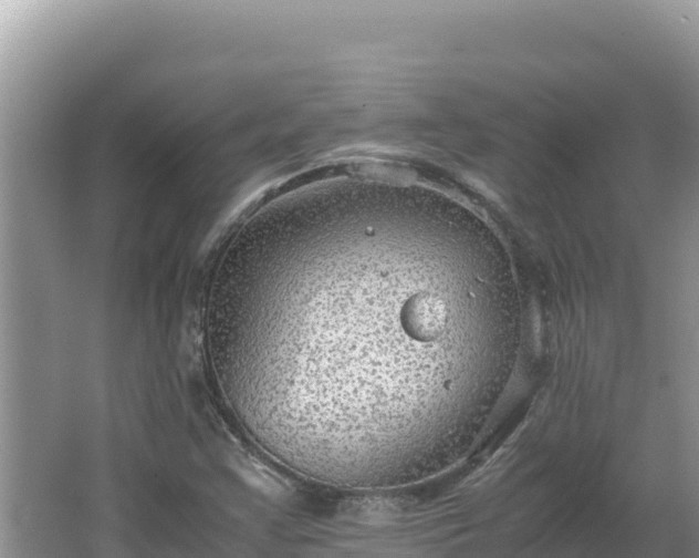 X0000064731355200602131239