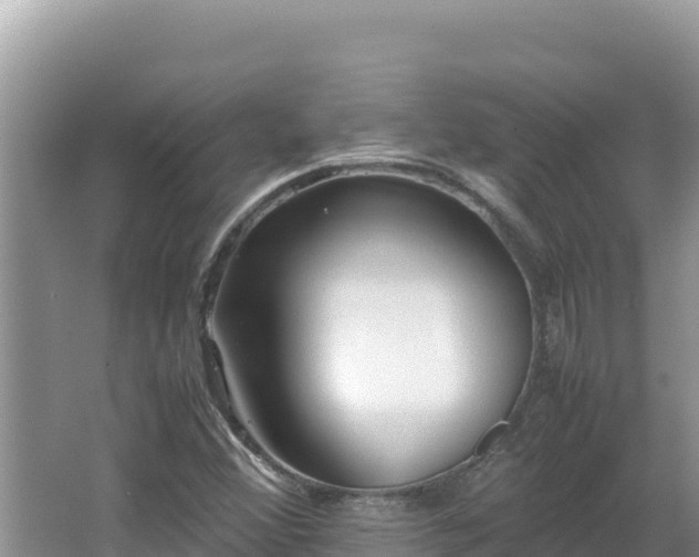 X0000064731356200602131239