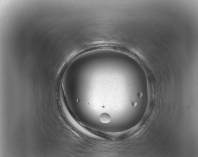 X0000064731357200602131239