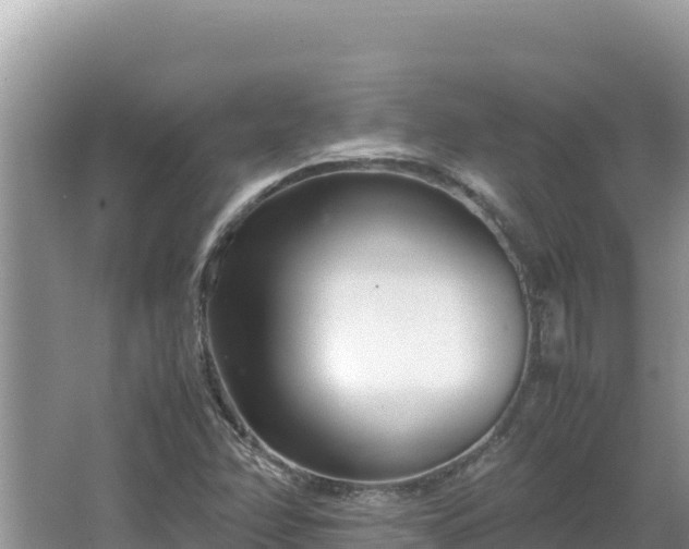 X0000064731358200602131239