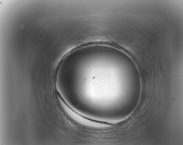 X0000064731359200602131239