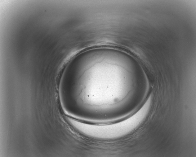 X0000064731363200602131239