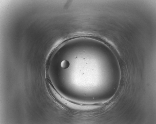 X0000064731365200602131239