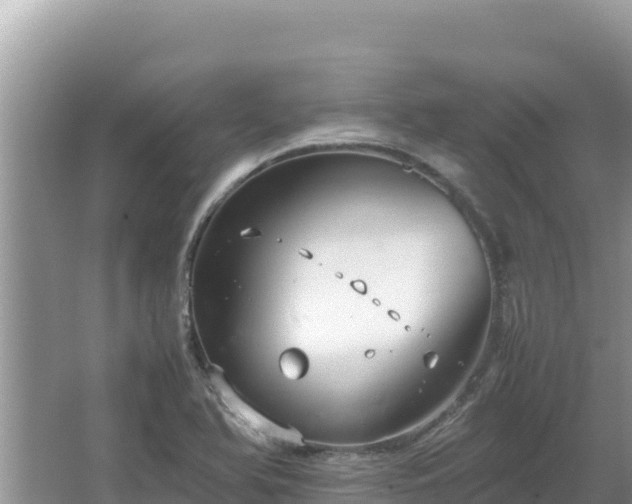 X0000064731366200602131239