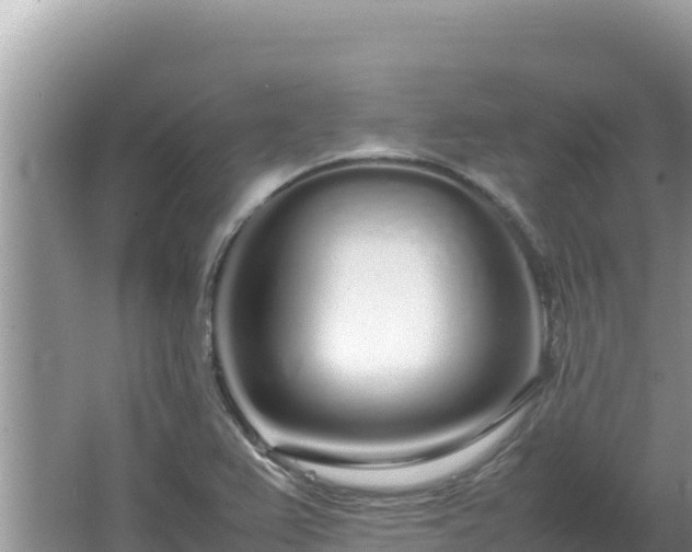 X0000064731367200602131239