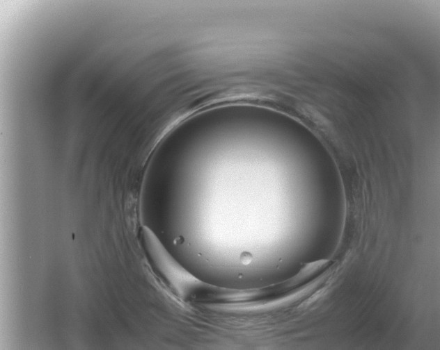 X0000064731369200602131239