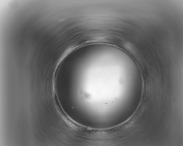 X0000064731370200602131239